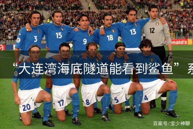 “大连湾海底隧道能看到鲨鱼”系谣言（2026·08·04）
